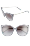 Tiffany & Co 55mm Gradient Cat Eye Sunglasses In Opal Grey/ Grey Gradient Black