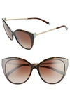 Tiffany & Co 55mm Gradient Cat Eye Sunglasses In Blue Havana/ Brown Gradient
