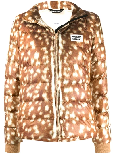 Burberry Deer Print Econyl® Padded Jacket In 棕色