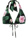 Dolce & Gabbana Rose-print Triangle Bikini Top In Green