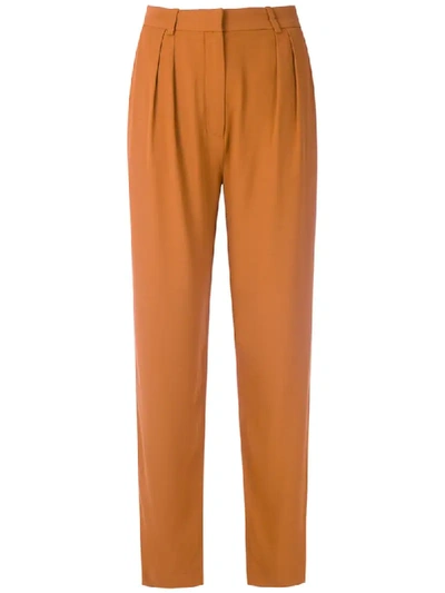 Andrea Marques Pleated Tapered Trousers In Brown