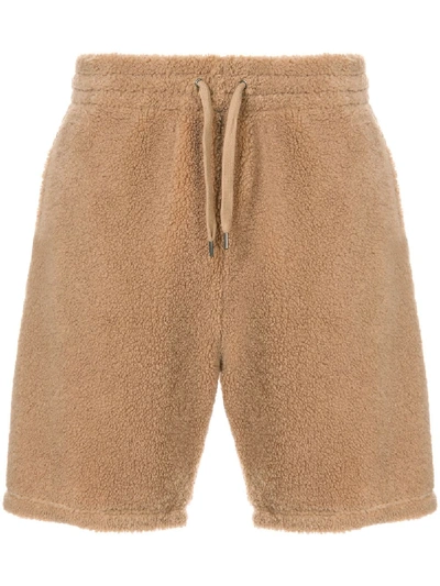 Ports V Textured Shorts In Neutrals