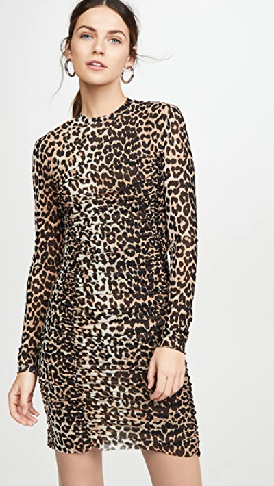 Ganni Ruched Leopard-print Stretch-mesh Mini Dress In Multi