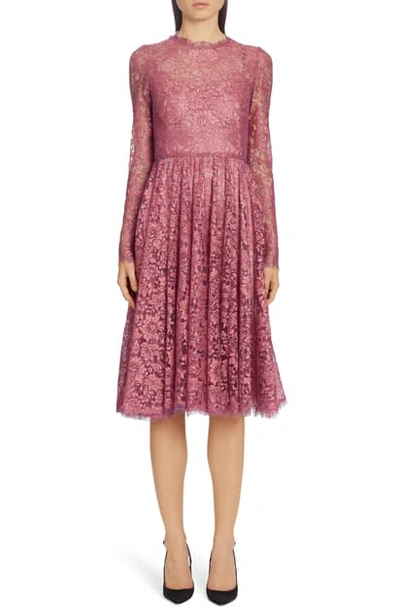 Dolce & Gabbana Lame Long Sleeve Chantilly Lace Dress In Pink