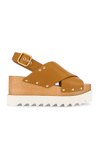Stella Mccartney Studded Vegetarian Leather Platform Sandals In Brown