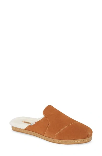 Toms Nova Mule In Brown