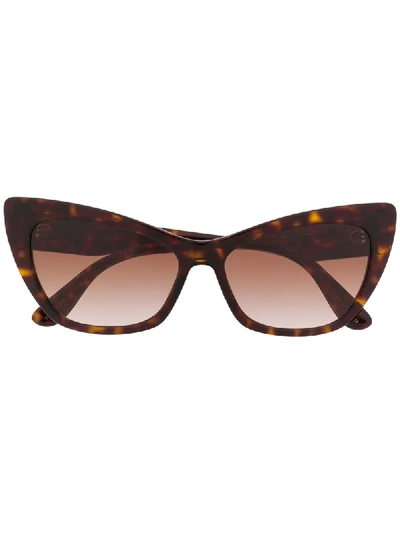 Dolce & Gabbana Dg4370 Cat Eye In Brown