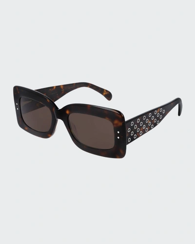 Alaïa Rectangle Grommet Acetate Sunglasses In Havana