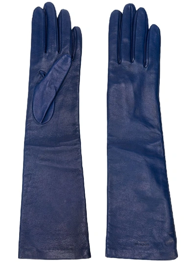 Rochas Mid-length Fitted Gloves In 蓝色