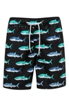 Snapper Rock Shark Swim Trunks In Black Multi