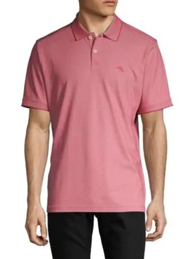 Tommy Bahama Classic Short-sleeve Polo In Forever