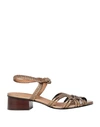 SEE BY CHLOÉ SEE BY CHLOÉ WOMAN SANDALS BRONZE SIZE 7 CALFSKIN,11813909WJ 10