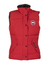 CANADA GOOSE FREESTYLE VEST RED GILET,11192379
