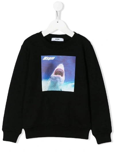 Msgm Kids' Black Crew Neck Sweatshirt With Shark Print
