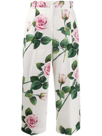 Dolce & Gabbana Tropical Rose Print Poplin Wide Leg Pants In White