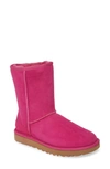 Ugg Classic Short Ii Boots In Fuchsia Suede