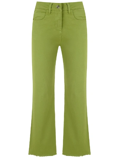 Egrey Cor Flared Trousers In Green