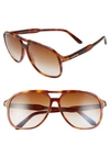 Tom Ford Men's Raoul Gradient Havana Aviator Sunglasses In Blonde Havana/ Gradient Brown