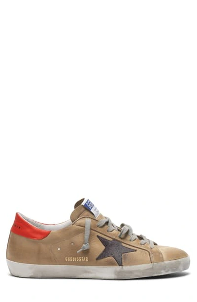 Golden Goose Superstar Distressed Leather And Suede Sneakers In Brown
