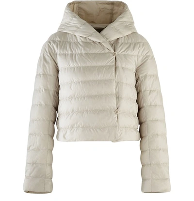 Max Mara The Cube Cropped Hooded Quilted Shell Down Jacket In Ice