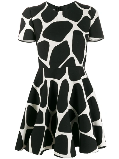 Valentino Animal Print Flared Mini-dress In 黑色
