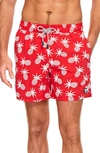 Tom & Teddy Pineapple Print Swim Trunks In Blue/ Crimson