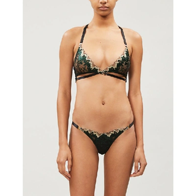 Bordelle Wilde Floral-embroidered Lace And Mesh Bra In Black Green Gold