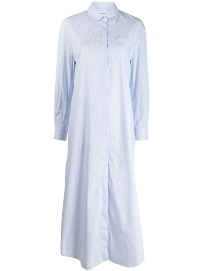 Dondup Striped In Blue