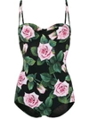 Dolce & Gabbana Tropical Rose Print Swimsuit In Black