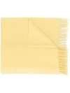 ACNE STUDIOS CANADA NEW SCARF