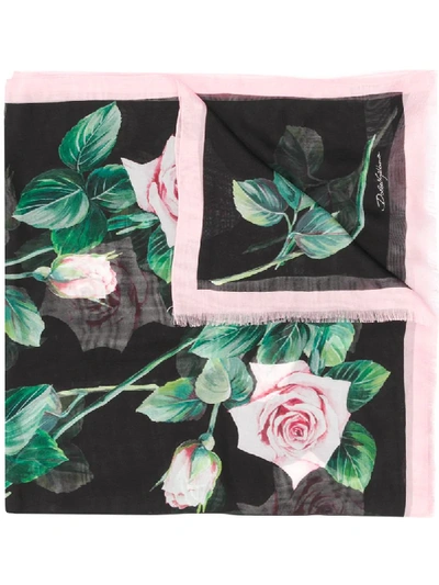 Dolce & Gabbana Tropical Rose Print Scarf In Black