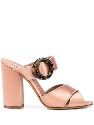 Tabitha Simmons Reyner Buckled Silk Sandals In Pink