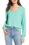 Wildfox Baggy Beach V-neck Top In Orion