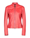 Peuterey Jackets In Red