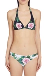 Dolce & Gabbana Rose-print Triangle Bikini Top In Hn96c Black