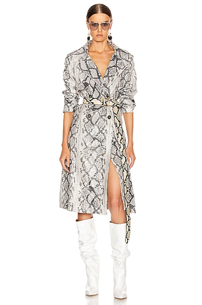 Andamane Claretta Faux Leather Snake Print Trench Coat In Grey