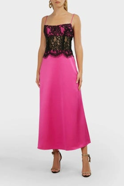 Rasario Sleeveless Lace-satin Midi Dress In Pink