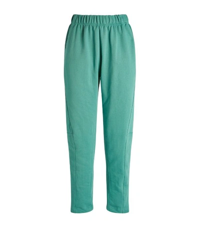 Adidas Originals Adidas Women's Cotton French Terry Pants In Future Hydro F10