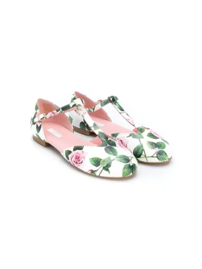 DOLCE & GABBANA TEEN ROSE PRINT BALLERINA SHOES