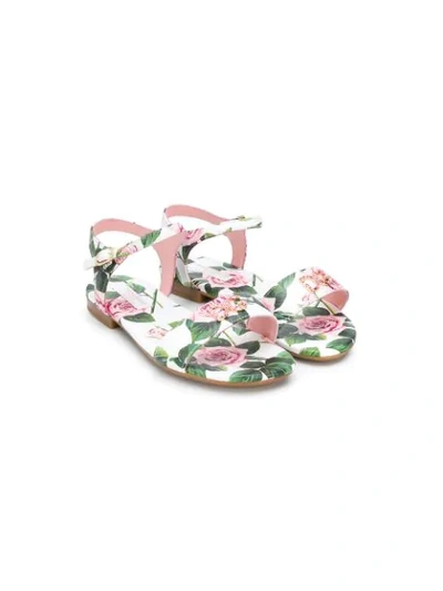 Dolce & Gabbana Kids' Crystal-embellished Rose Print Sandals In White
