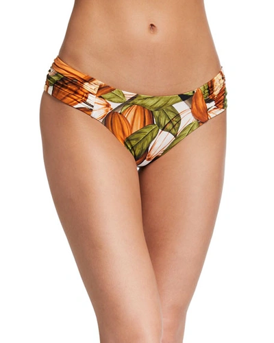 Água De Coco American Shirred Cacao-print Bikini Bottom In Cacau