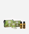 Ortigia Fico D'india Handbag Travel Set In White