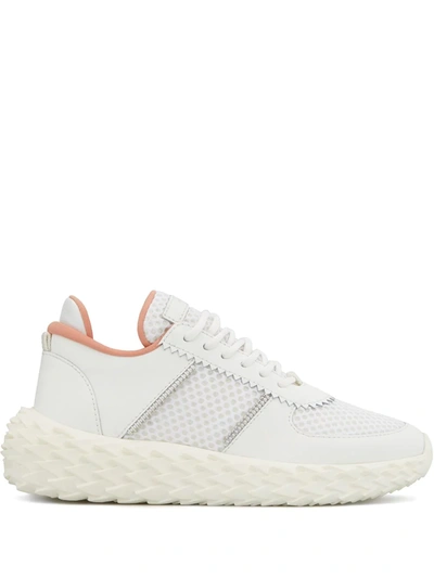 Giuseppe Zanotti Urchin Mesh Panelled Sneakers In White