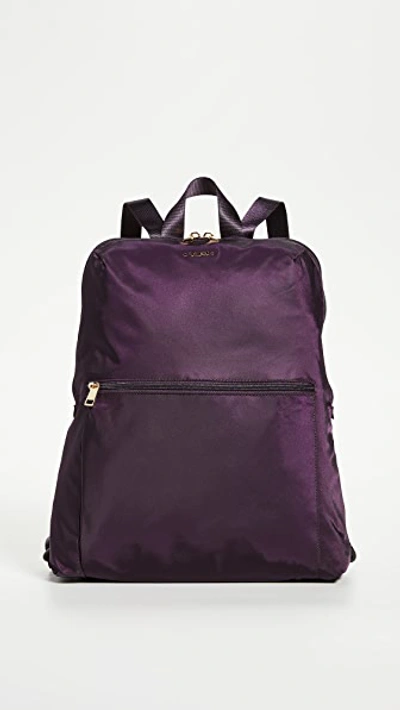 Tumi Voyageur Just In Case Backpack In Blackberry | ModeSens display picture 3
