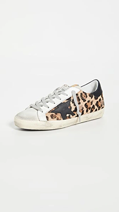 Golden Goose Superstar Distressed Leather And Calf Hair Trainers In Multi-colour