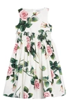 Dolce & Gabbana Girl's Tropical Rose Shirred Waist Dress, Size 8-12 In Rose Rosa Fdo.panna