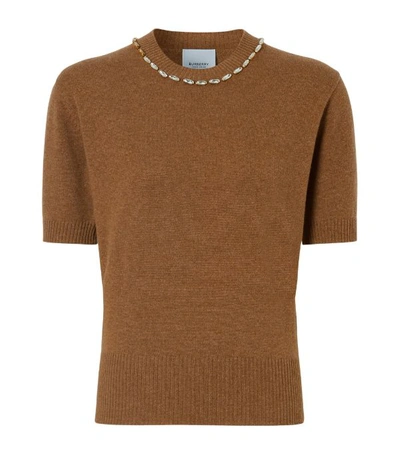 Burberry Ahaura Cashmere Short-sleeve Sweater In Brown