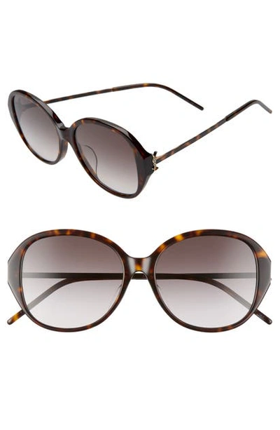 Saint Laurent 57mm Round Sunglasses In Shiny Dark Havana/ Grey Grad