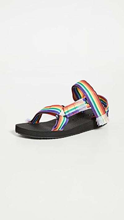 Arizona Love Trekky Rainbow Velcro-strap Sandals In Black