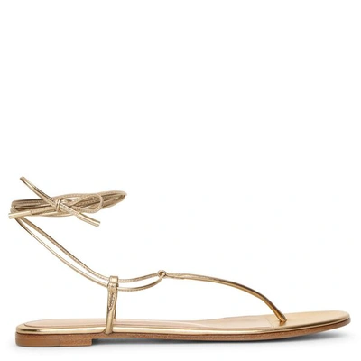 Gianvito Rossi Metallic Gold Leather Flat Sandals